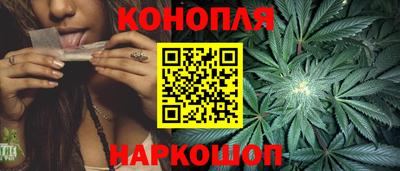 стафф Гагарин