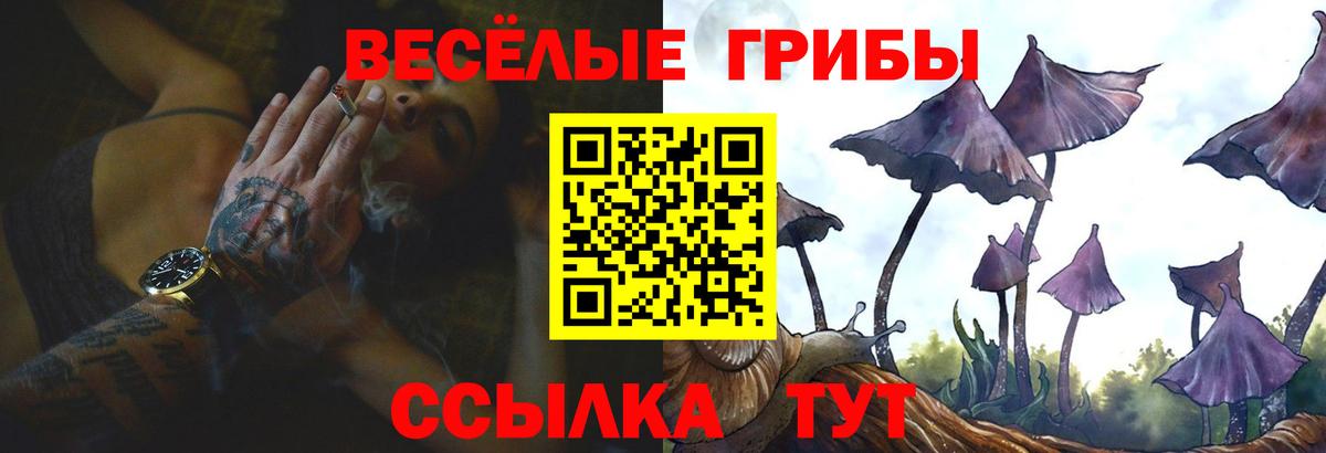 Новоалтайск  Псилоцибиновые грибы Cubensis  Вход с VPN 